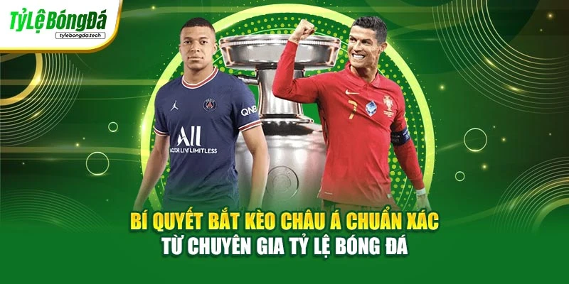 Bí quyết bắt kèo châu Á chuẩn xác từ chuyên gia Tỷ lệ bóng đá