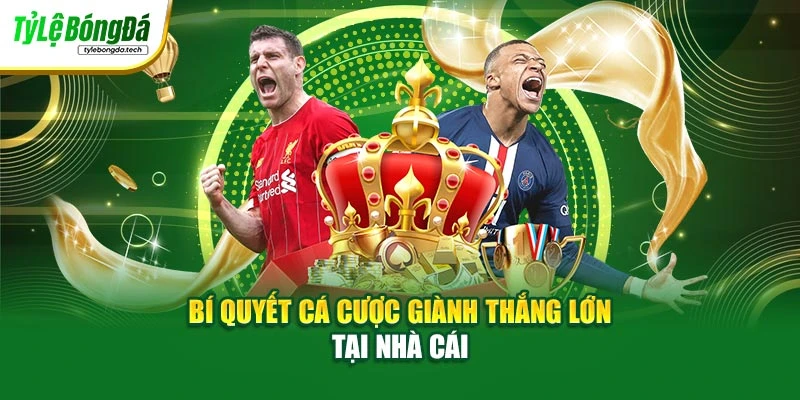 Bí quyết cá cược giành thắng lớn tại nhà cái