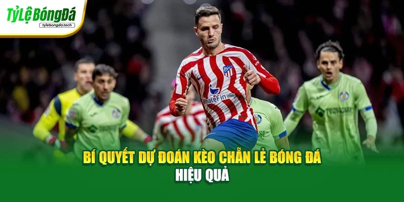 Bí quyết dự đoán kèo chẵn lẻ bóng đá hiệu quả