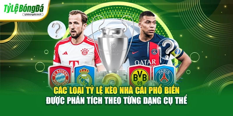 Các loại tỷ lệ kèo nhà cái phổ biến được phân tích theo từng dạng cụ thể