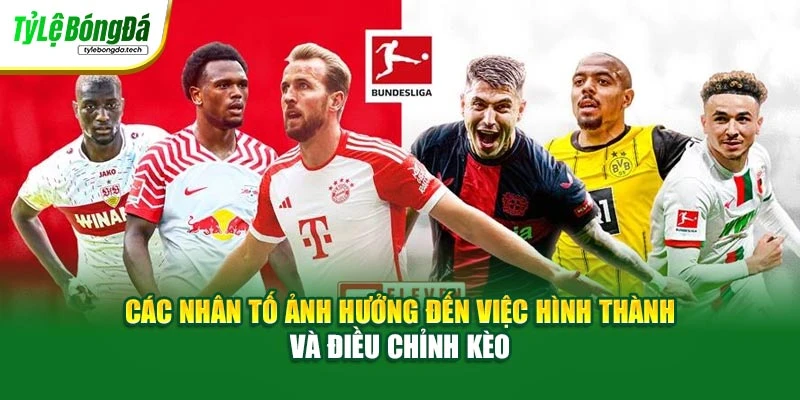 Các nhân tố ảnh hưởng đến việc hình thành và điều chỉnh kèo