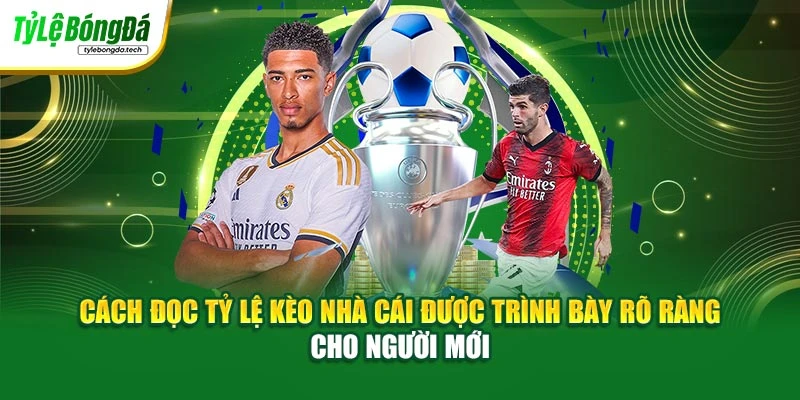 Cách đọc tỷ lệ kèo nhà cái được trình bày rõ ràng cho người mới