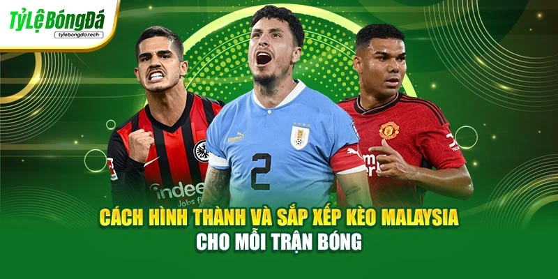 Cách hình thành và sắp xếp kèo Malaysia cho mỗi trận bóng