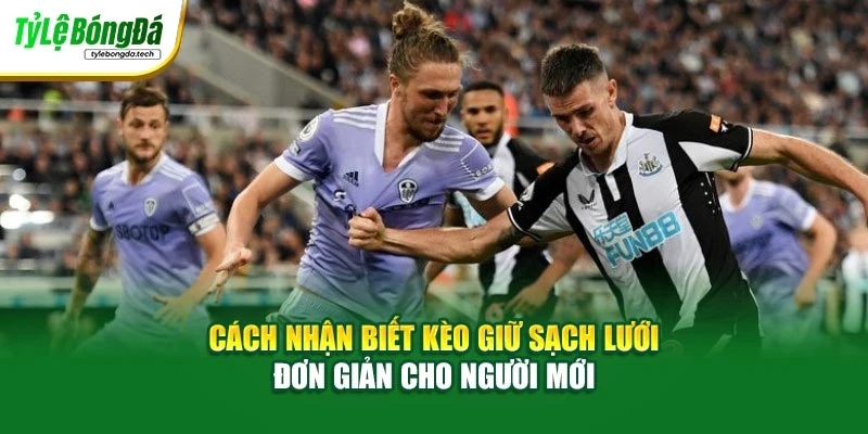 Cách nhận biết kèo giữ sạch lưới đơn giản cho người mới