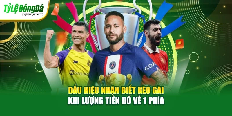 Dấu hiệu nhận biết kèo gài khi lượng tiền đổ về 1 phía