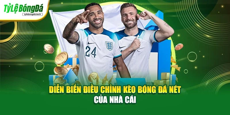 Diễn biến điều chỉnh kèo bóng đá nét của nhà cái