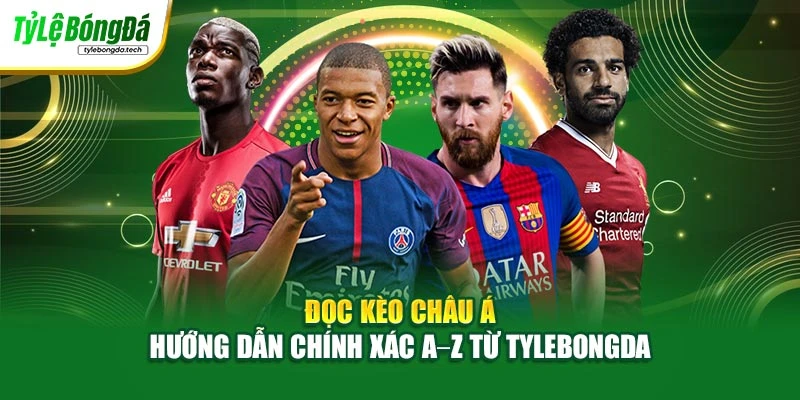 Đọc Kèo Châu Á – Hướng Dẫn Chính Xác A–Z Từ Tylebongda