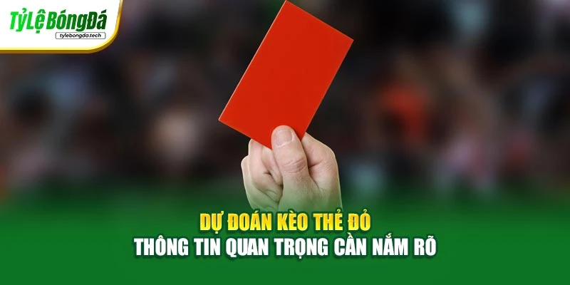 Dự Đoán Kèo Thẻ Đỏ - Thông Tin Quan Trọng Cần Nắm Rõ