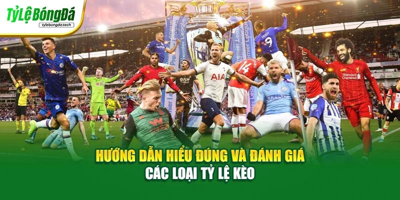 Hướng dẫn hiểu đúng và đánh giá các loại tỷ lệ kèo