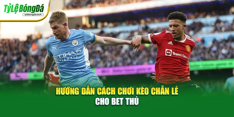 Hướng dẫn cách chơi kèo chẵn lẻ cho bet thủ
