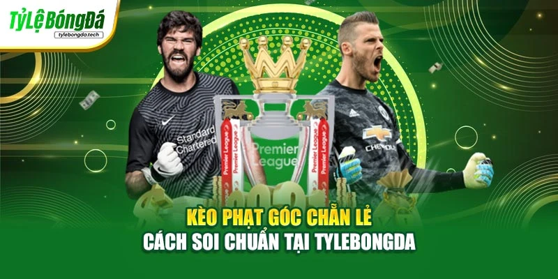 Kèo Phạt Góc Chẵn Lẻ - Cách Soi Chuẩn Tại Tylebongda