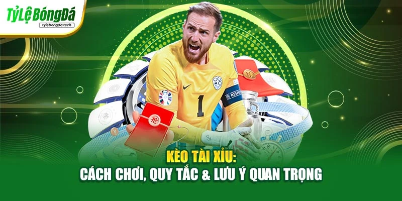 Kèo Tài Xỉu: Cách Chơi, Quy Tắc & Lưu Ý Quan Trọng