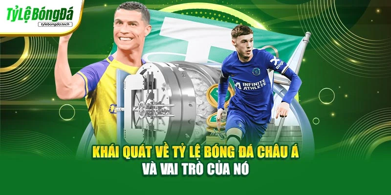 Khái quát về tỷ lệ bóng đá châu Á và vai trò của nó