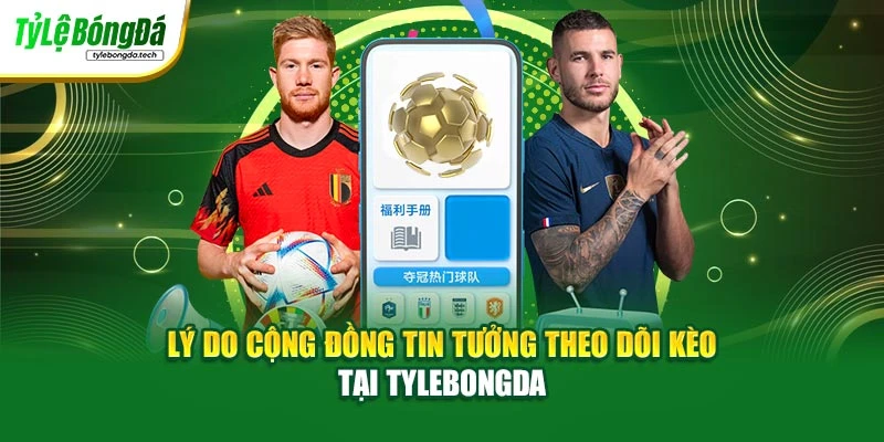 Lý do cộng đồng tin tưởng theo dõi kèo tại tylebongda
