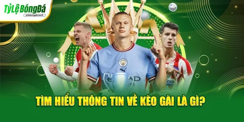 Tìm hiểu thông tin về kèo gài là gì?