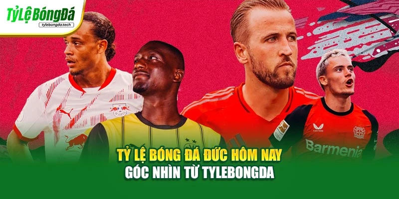 Tỷ Lệ Bóng Đá Đức Hôm Nay – Góc Nhìn Từ Tylebongda