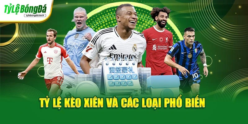 Tỷ lệ kèo xiên và các loại phổ biến