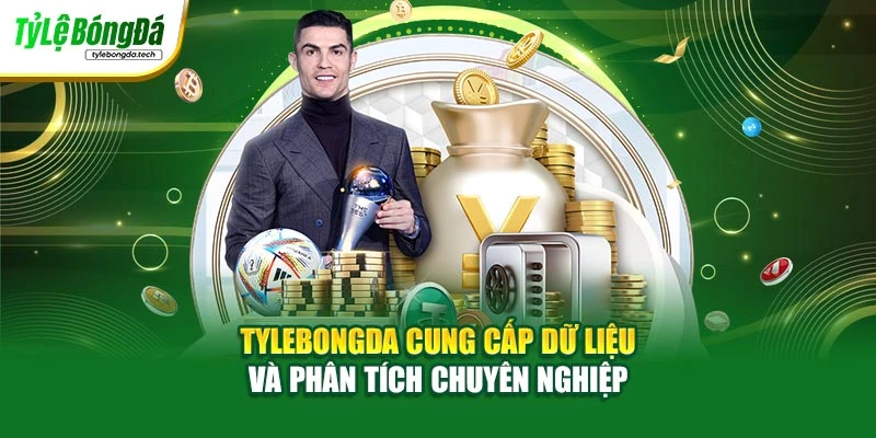 Tylebongda cung cấp dữ liệu và phân tích chuyên nghiệp