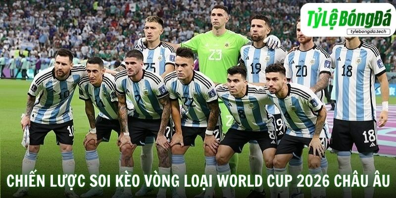Chiến lược soi kèo và phân tích dữ liệu vòng Loại World Cup 2026 Châu Âu