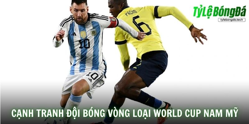 Cuộc cạnh tranh giữa các đội bóng vòng loại World Cup 2026 Nam Mỹ