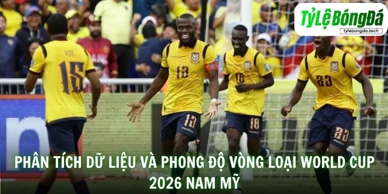 Phân tích dữ liệu và phong độ vòng loại World Cup 2026 Nam Mỹ