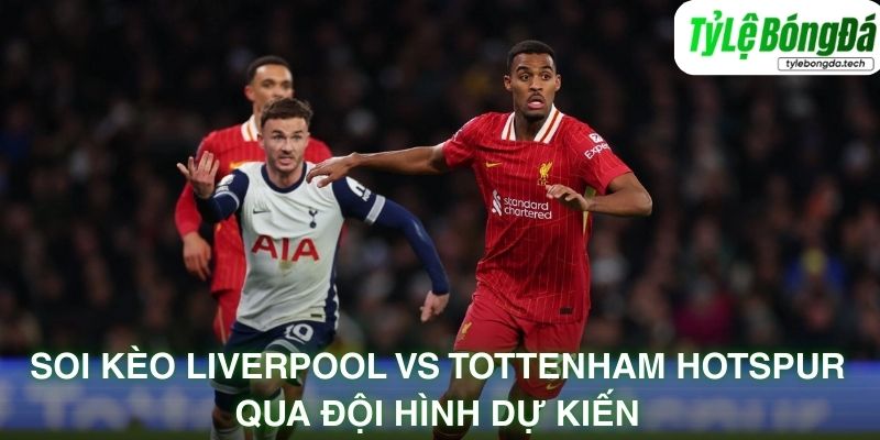 Soi kèo Liverpool vs Tottenham qua đội hình dự kiến
