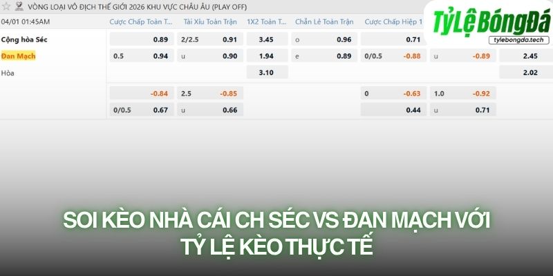 Soi kèo nhà cái CH Séc vs Đan Mạch với tỷ lệ kèo thực tế