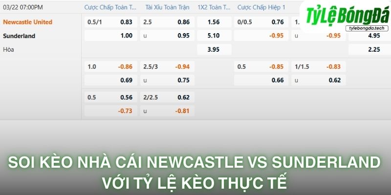 Soi kèo nhà cái Arsenal vs Bayer Leverkusen với tỷ lệ kèo thực tế