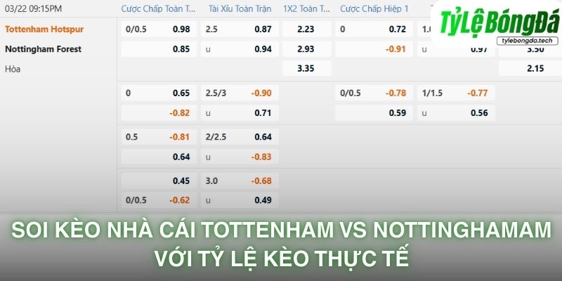 Tỷ lệ bóng đá Tottenham Hotspur vs Nottingham Forest 22/03