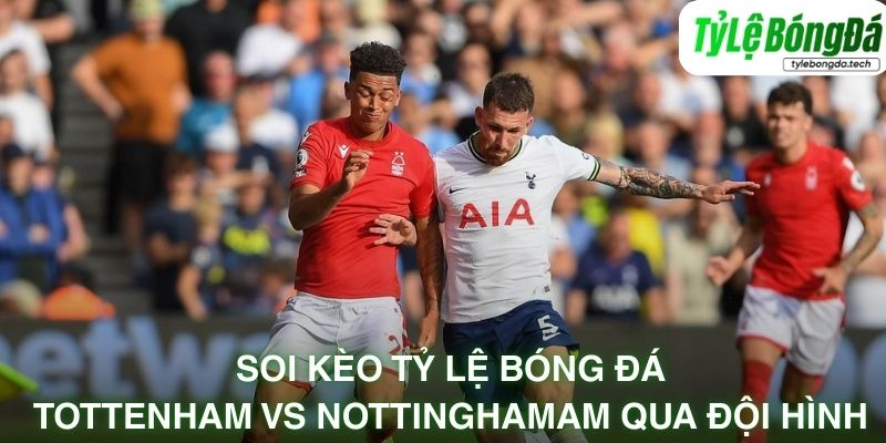 Tình hình lực lượng Tottenham vs Nottingham 22/03