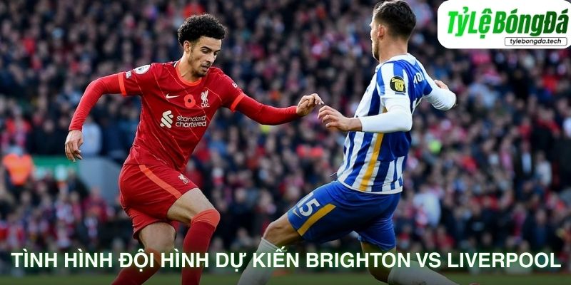 Đội hình dự kiến ra sân của Brighton vs Liverpool