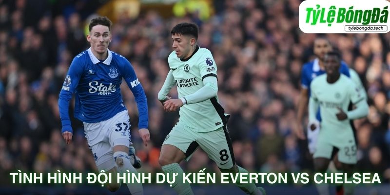 Tình hình lực lượng dự kiến Everton vs Chelsea