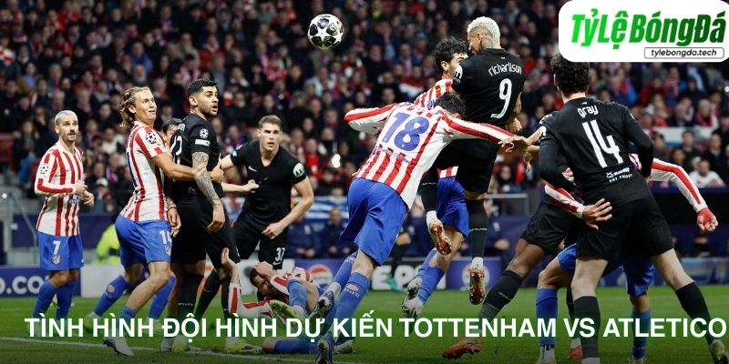Tình hình đội hình dự kiến Tottenham vs Atletico Madrid