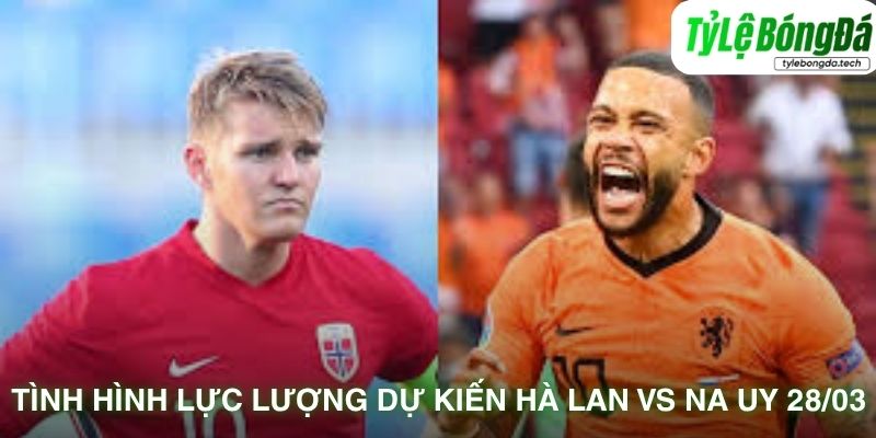 Tình hình lực lượng dự kiến Hà Lan vs Na Uy 28/03
