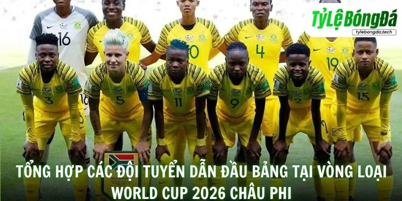 Tổng hợp các đội tuyển dẫn đầu bảng tại vòng loại World Cup 2026 châu Phi