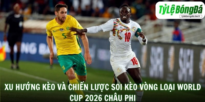 Xu hướng kèo và chiến lược soi kèo Vòng loại World Cup 2026 châu Phi