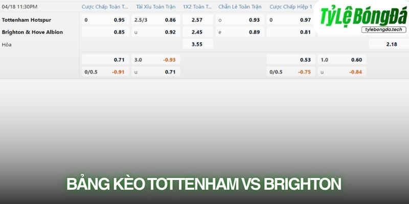 Soi kèo nhà cái Tottenham vs Brighton với tỷ lệ kèo thực tế