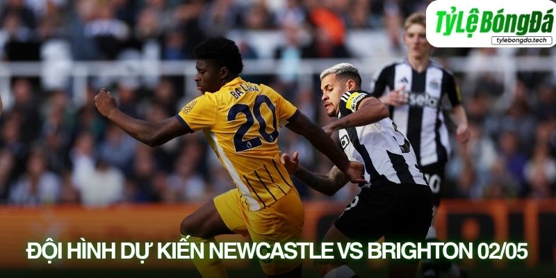 Tình hình lực lượng Newcastle vs Brighton 02/05