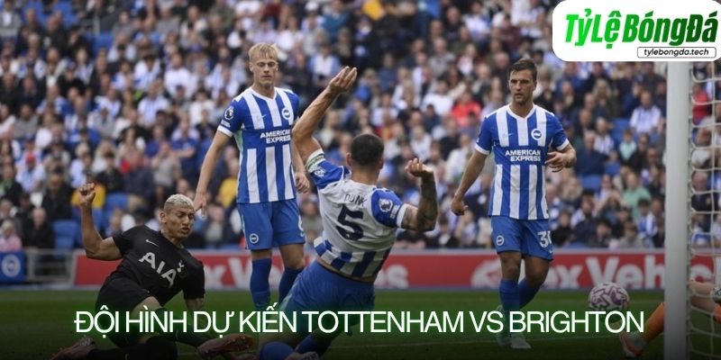 Tình hình lực lượng Tottenham vs Brighton