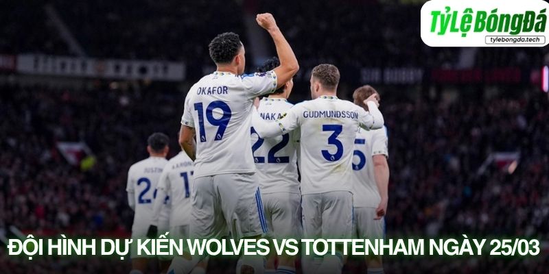 Đội hình dự kiến Wolves vs Tottenham 25/04