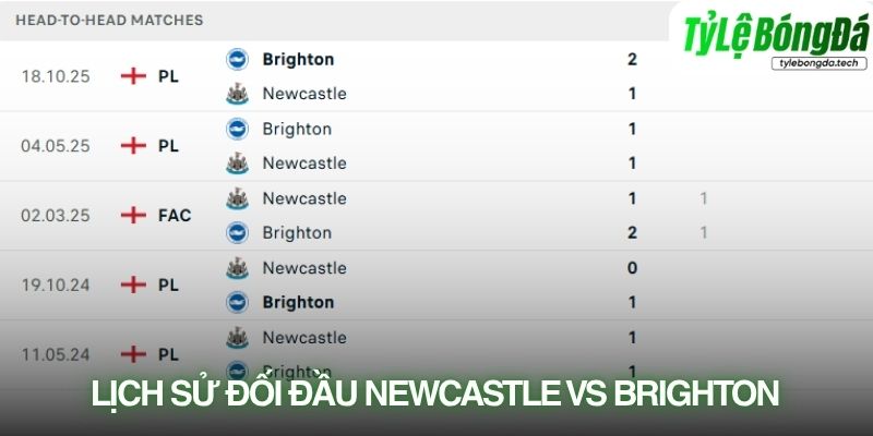 Lịch sử đối đầu Newcastle vs Brighton