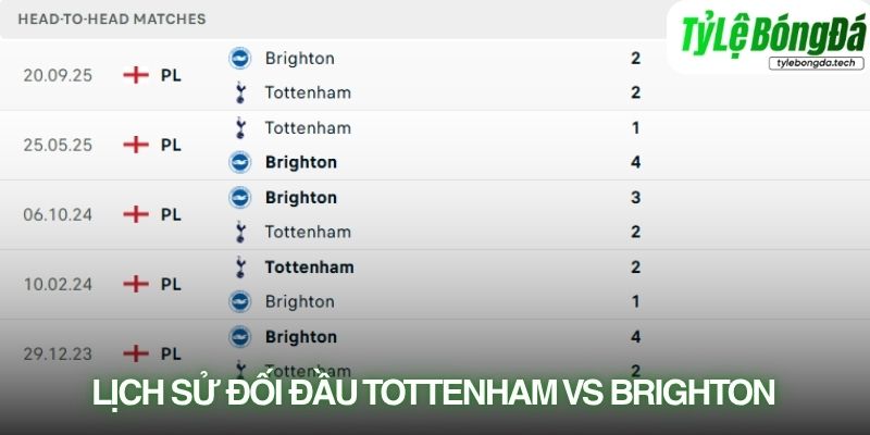 Lịch sử đối đầu Tottenham vs Brighton