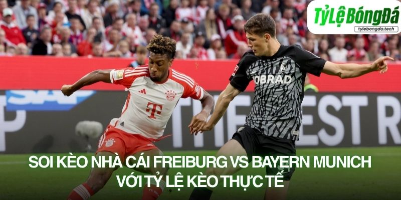 Tình hình lực lượng Freiburg vs Bayern Munich 04/04