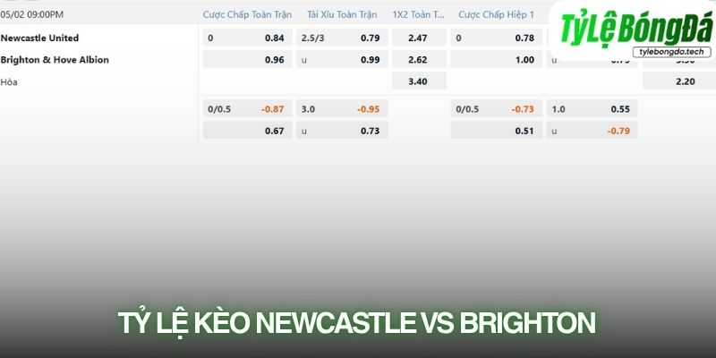 Tỷ lệ kèo thực tế Newcastle vs Brighton 02/05